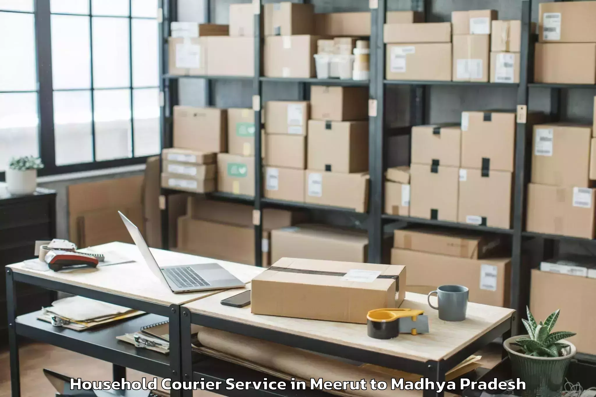 Easy Meerut to Sarni Household Courier Booking